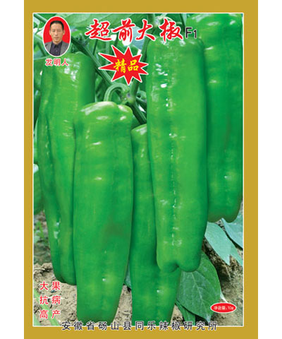 高产牛角椒——超前大椒