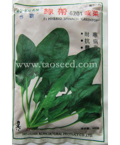 绿带6201菠菜