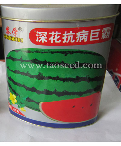 深花抗病巨霸
