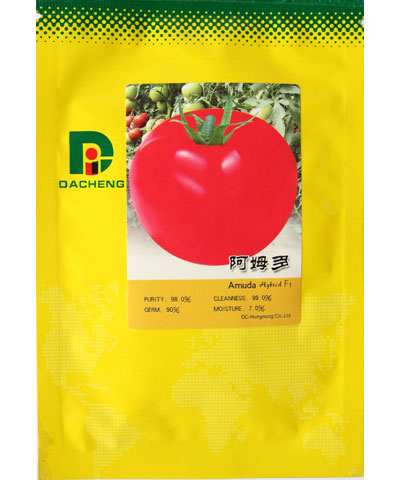 阿姆多番茄种子