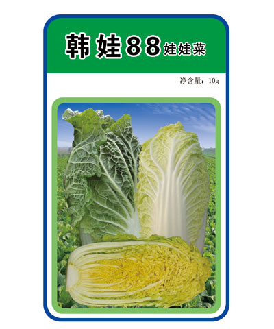 韩娃88娃娃菜