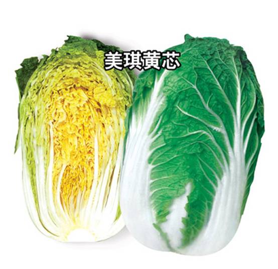美琪黄芯大白菜