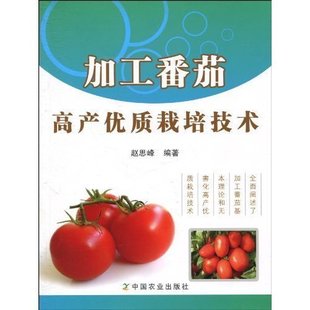加工番茄高产优质栽培技术