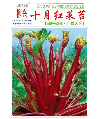 十月红菜苔