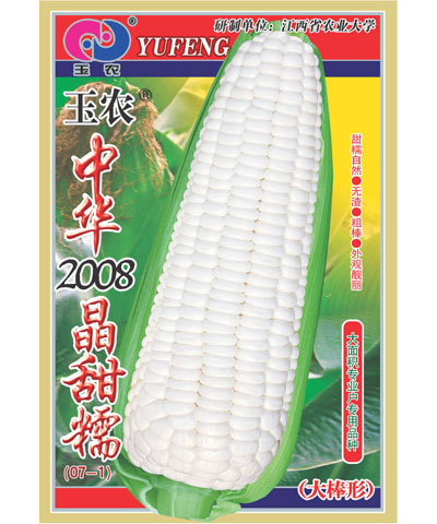 中华2008晶甜糯玉米
