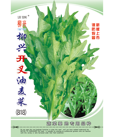 柳兴开叉油麦菜818