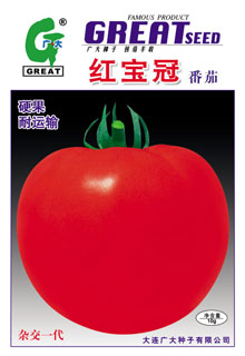红宝冠-红果番茄