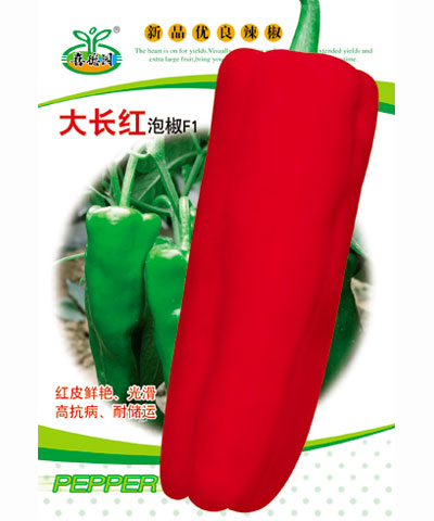 大长红牛角椒