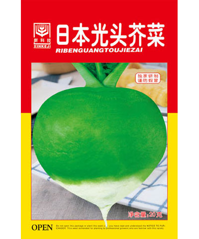 日本光头芥菜