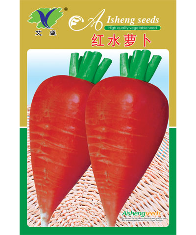 红水萝卜