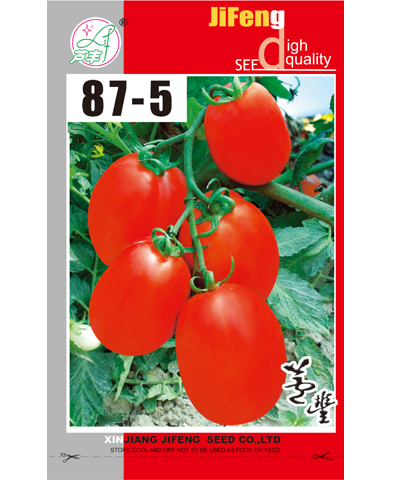 87-5番茄