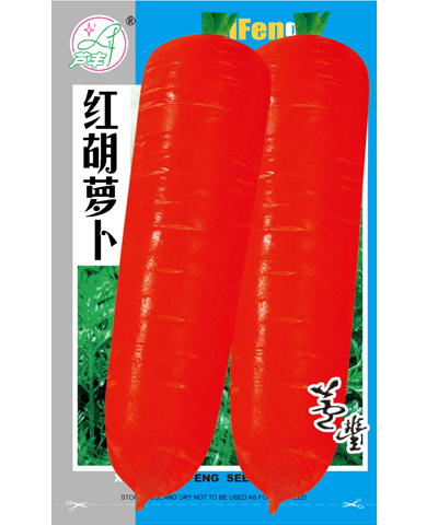 红胡萝卜