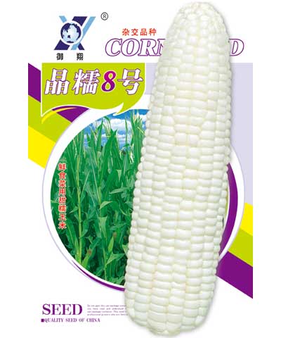 晶糯8号