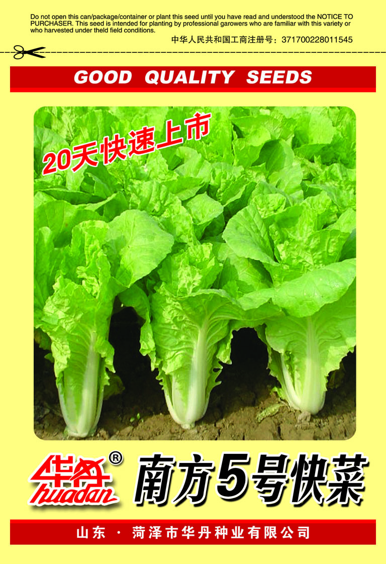 南方5号快菜F1