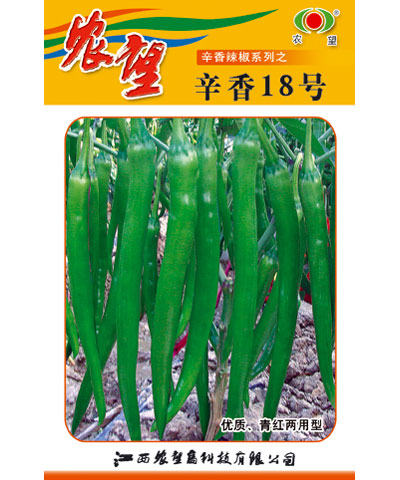 辛香18号