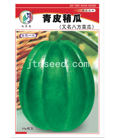 青皮稍瓜