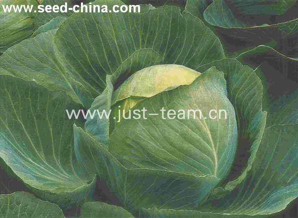 长盛100_长盛中证100_长盛基金_淘宝助理