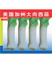 美国加州大肉西蒜100g