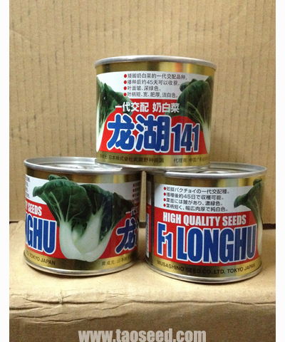 日本武藏野龙湖奶白菜 100g