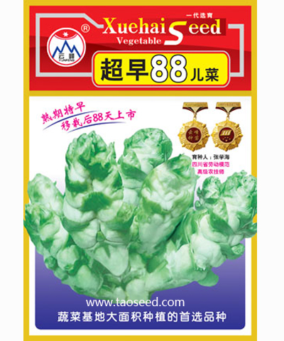 超早88天儿菜