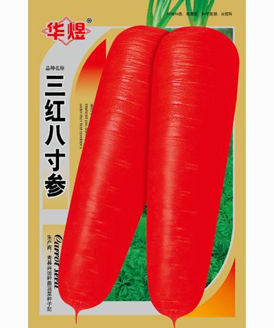 三红八寸参--胡萝卜