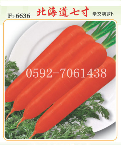 【北海道七寸】台湾胡萝卜种子