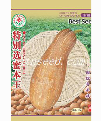 特别选蜜本南瓜