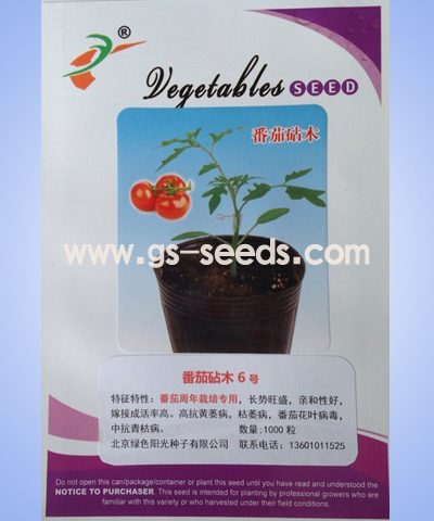 番茄砧木6号