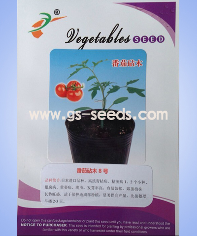 番茄砧木8号