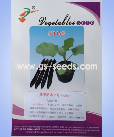 茄子砧木9号（大粒）杂交一代