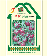 小菜园紫晶番茄