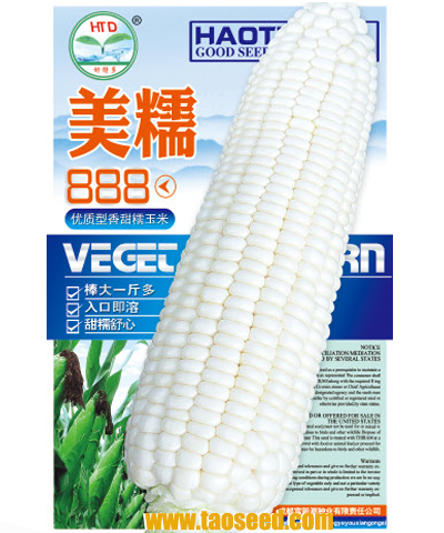 美糯888 优质型香甜糯玉米