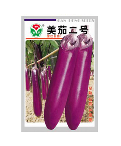 Red Eggplant NO.6