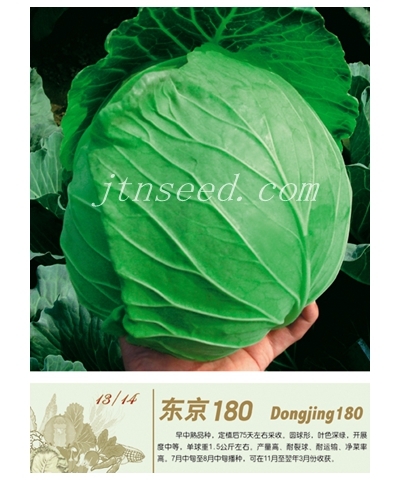 东京180