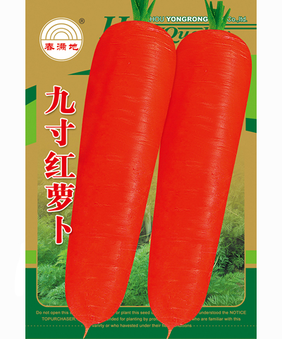 九寸红萝卜