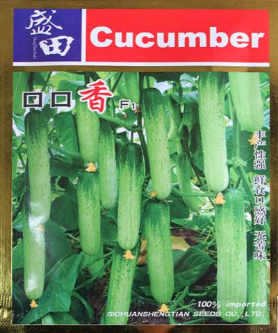 口口香