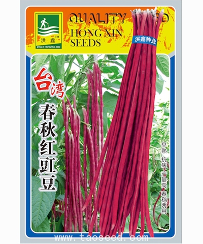 台湾春秋红豇豆
