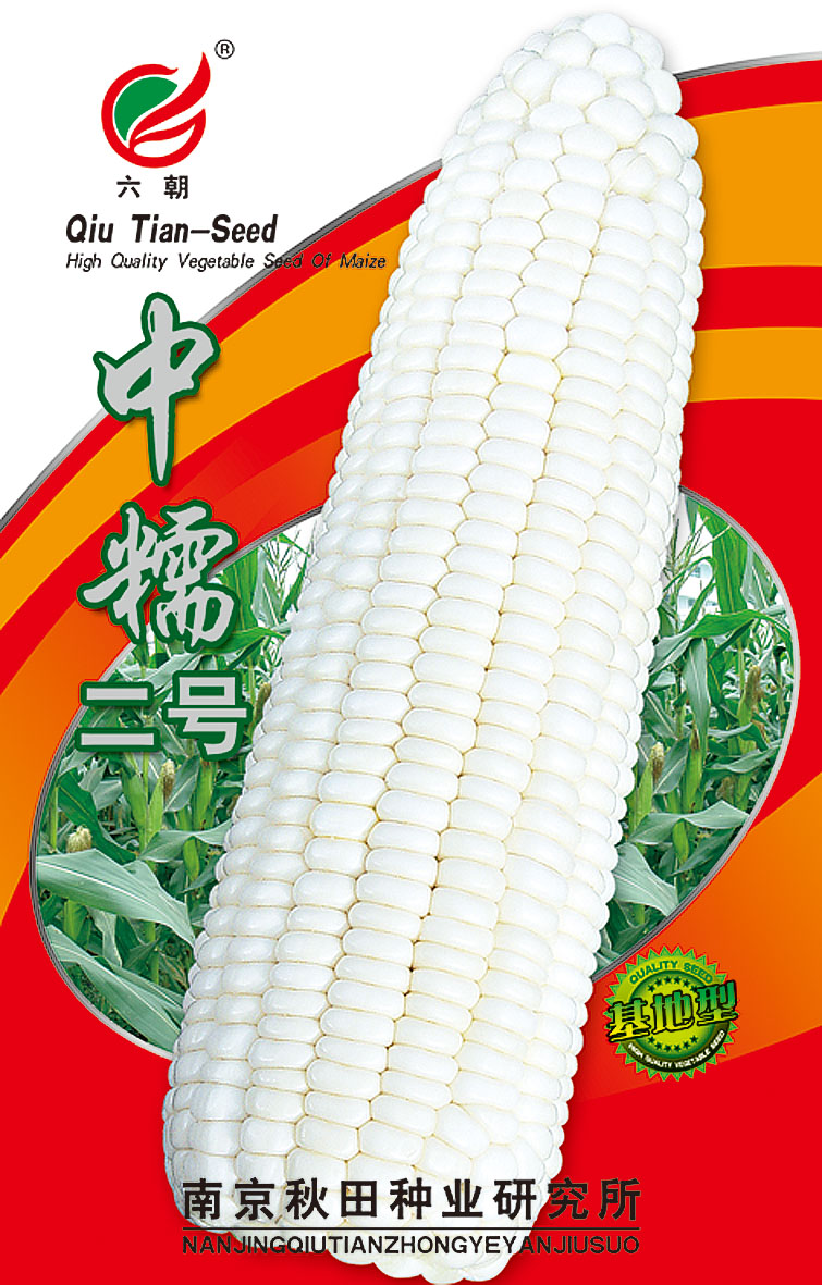 中糯二号