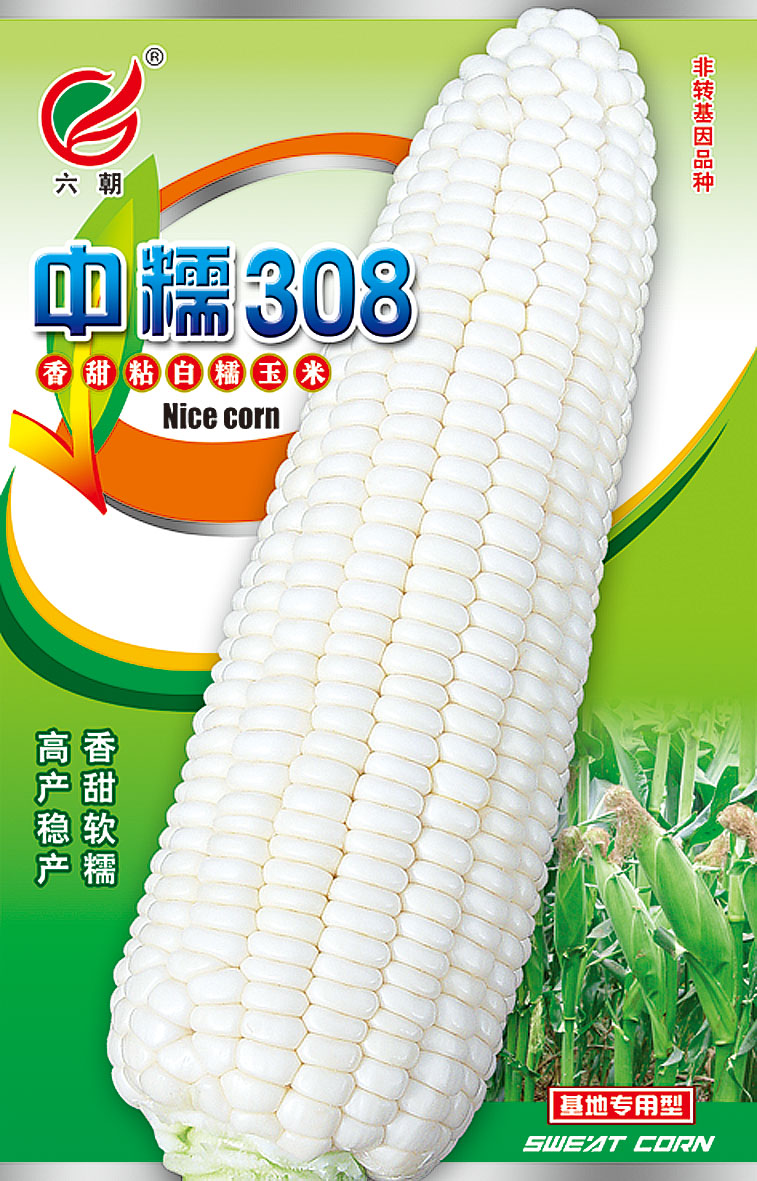 中糯308