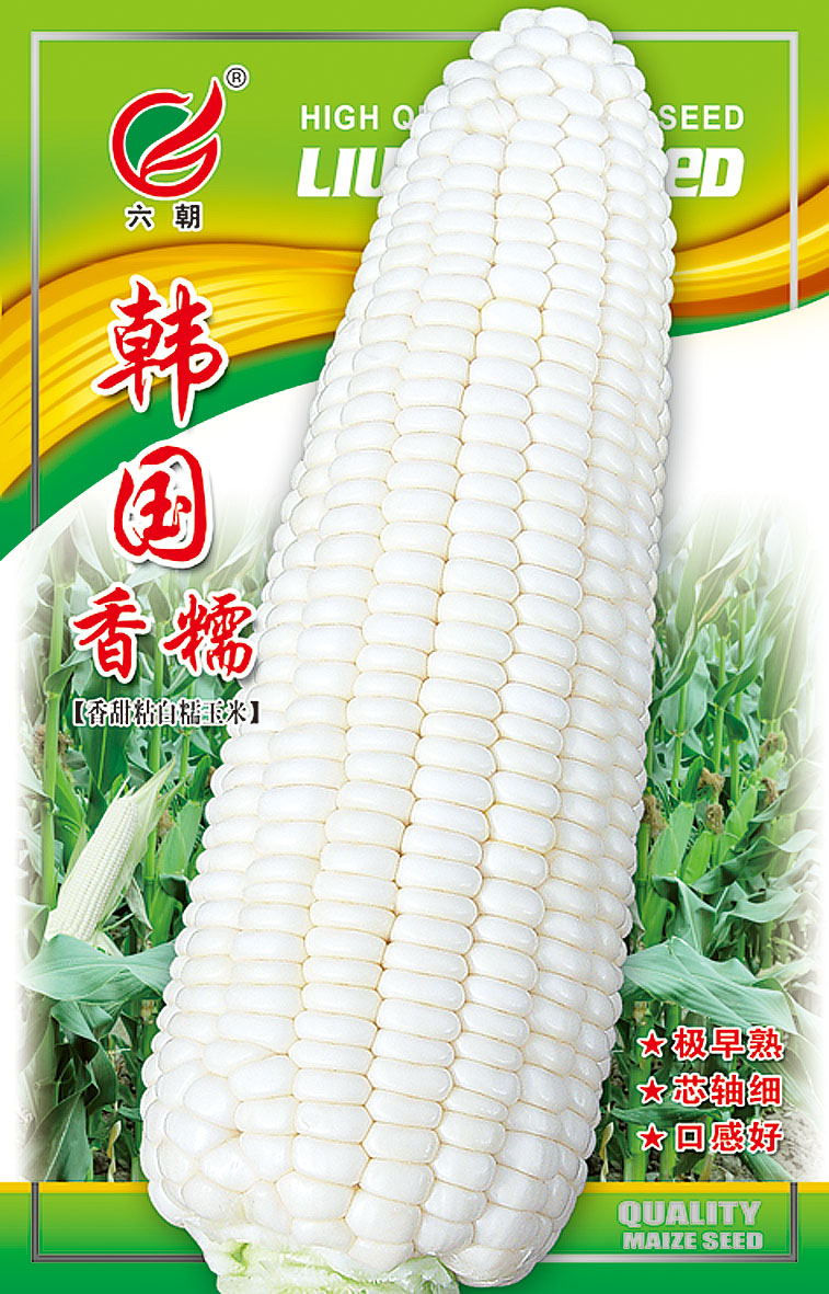 韩国香糯