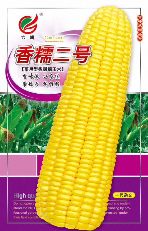 香糯二号