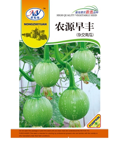 农源早丰杂交南瓜