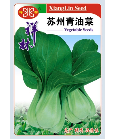苏州青油菜