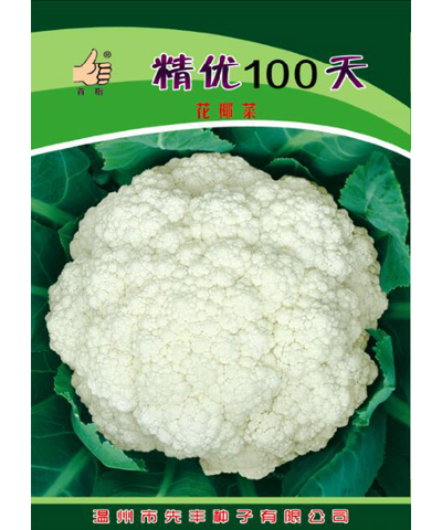 精优100天花椰菜   首指牌