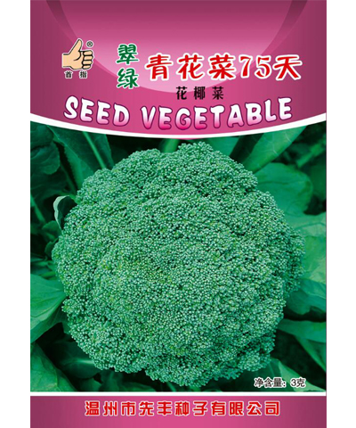 翠绿青花菜75天(净含量：3克)