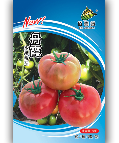 丹霞水果番茄  50粒/包