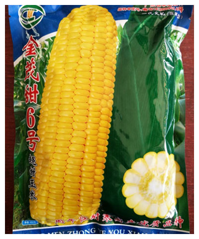 金茂6号超甜玉米 