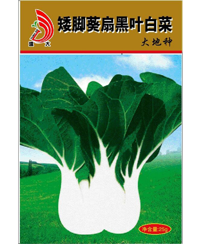 矮脚葵扇黑叶白菜（大地种） 25g