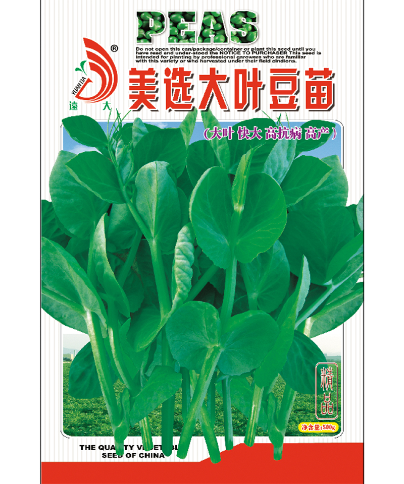 美选大叶豆苗500g