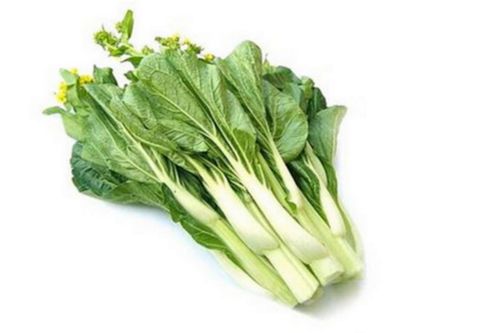ҹӦ ̦ɰײ̦